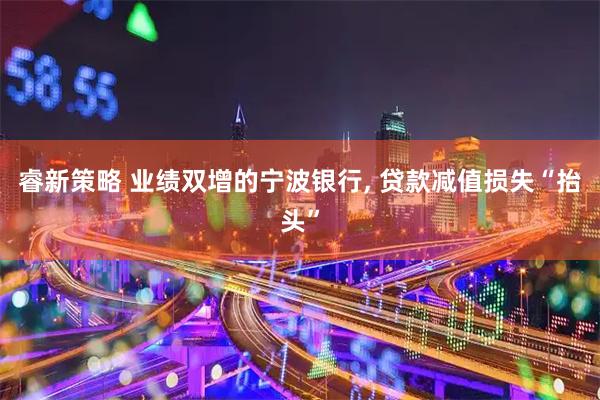 睿新策略 业绩双增的宁波银行, 贷款减值损失“抬头”