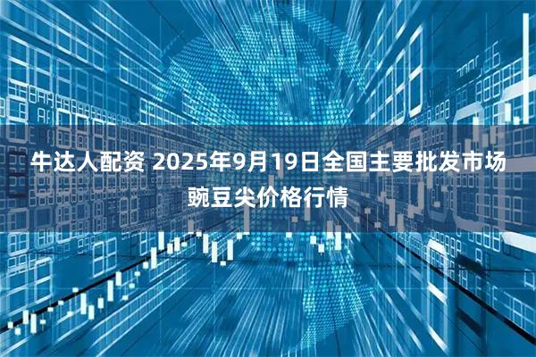 牛达人配资 2025年9月19日全国主要批发市场豌豆尖价格行情