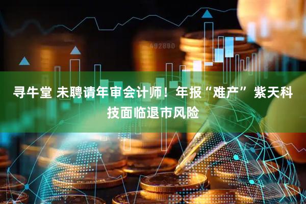 寻牛堂 未聘请年审会计师！年报“难产” 紫天科技面临退市风险