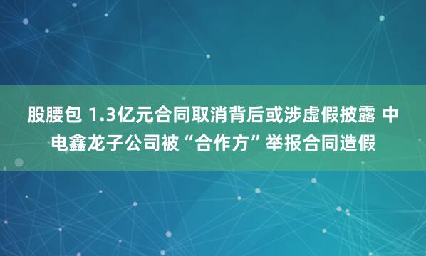 股腰包 1.3亿元合同取消背后或涉虚假披露 中电鑫龙子公司被“合作方”举报合同造假