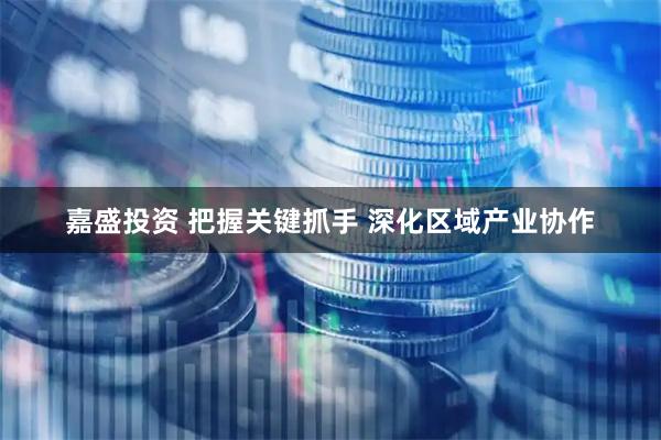 嘉盛投资 把握关键抓手 深化区域产业协作