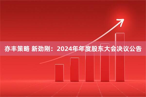 亦丰策略 新劲刚：2024年年度股东大会决议公告