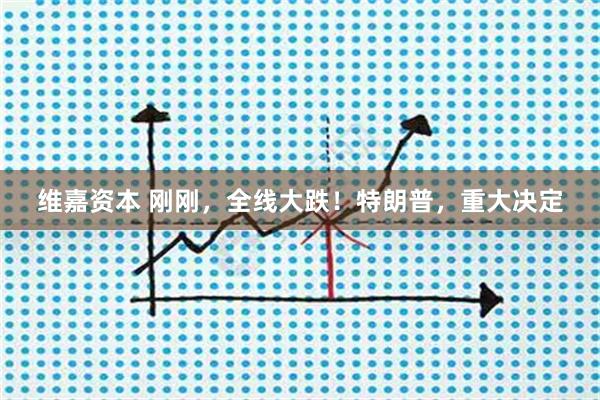 维嘉资本 刚刚，全线大跌！特朗普，重大决定