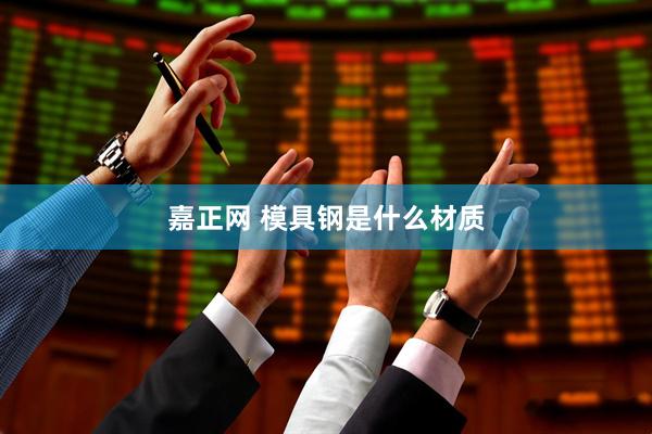 嘉正网 模具钢是什么材质