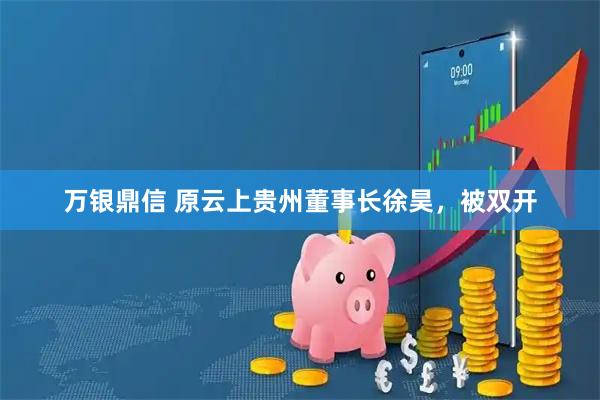 万银鼎信 原云上贵州董事长徐昊，被双开
